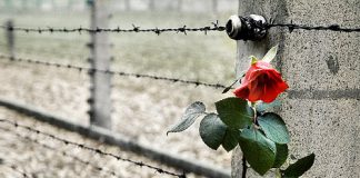 Erinnerung an Ilse Uhlmann